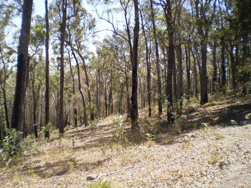 60 WHITE FOX LANE, Broadwater NSW 2549