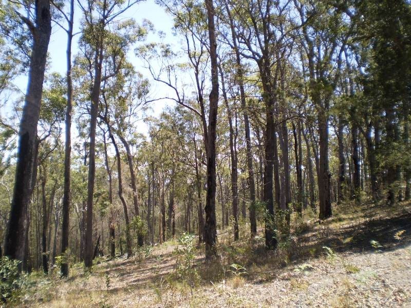 60 WHITE FOX LANE, Broadwater NSW 2549