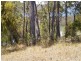 55, 58,59 WHITE FOX LANE, Broadwater NSW 2549