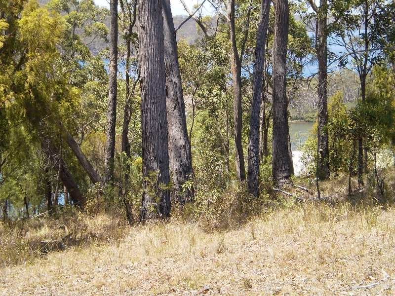 55, 58,59 WHITE FOX LANE, Broadwater NSW 2549