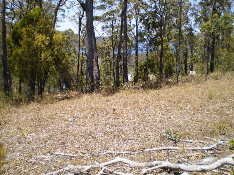55, 58,59 WHITE FOX LANE, Broadwater NSW 2549