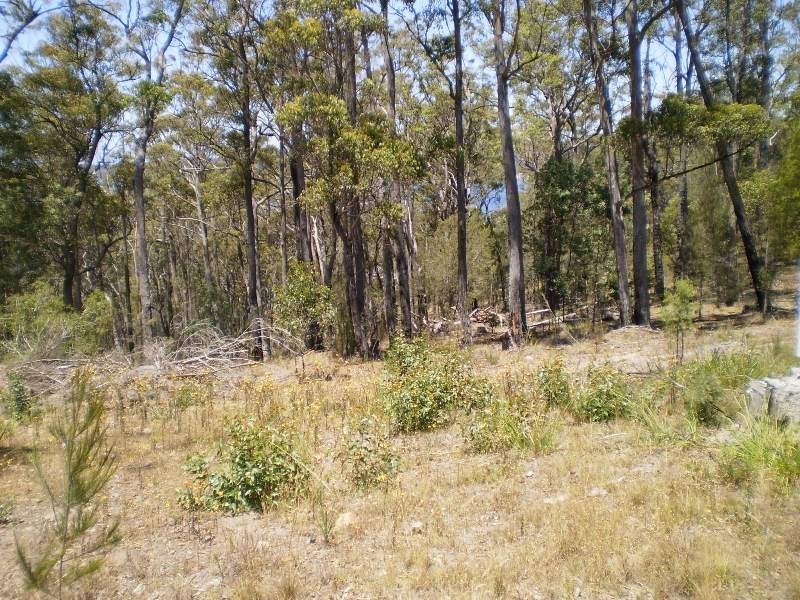 55, 58,59 WHITE FOX LANE, Broadwater NSW 2549