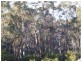 21 BELLEVUE PLACE, Eden NSW 2551