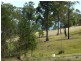 9 THE WANDERER, Boydtown NSW 2551