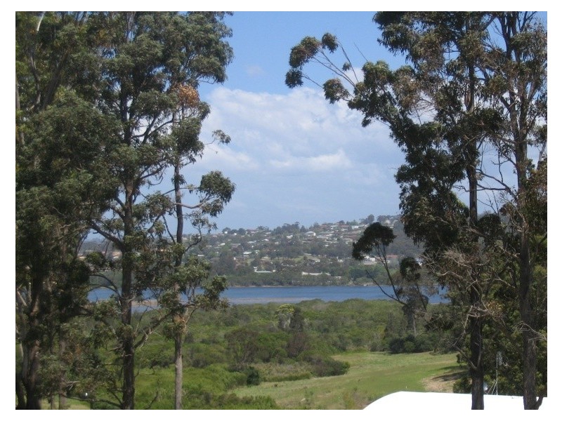 325 TRUMPETER AVENUE, Eden NSW 2551