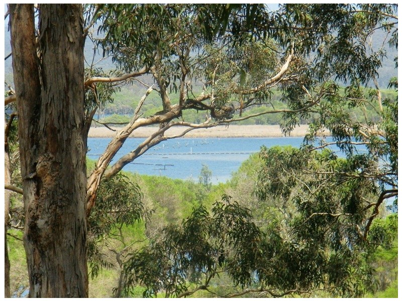 110 STEVENS ROAD, Wonboyn NSW 2551