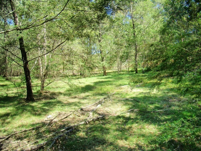 25 WONBOYN ROAD, Wonboyn NSW 2551