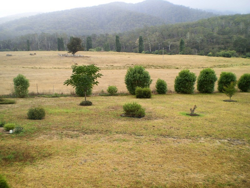 31 NANGUTTA STREET, Towamba NSW 2550