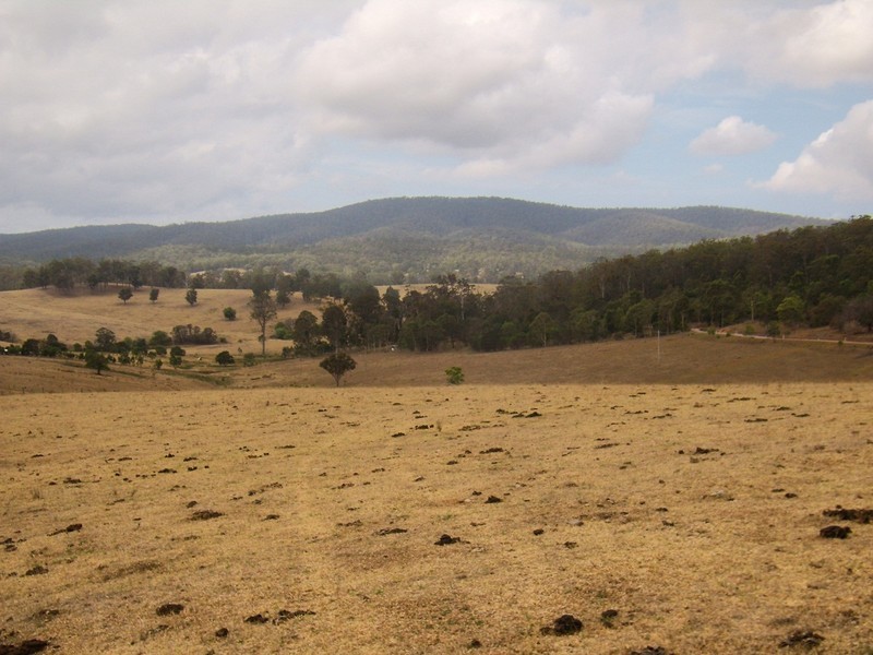 1754 BOGGY CREEK ROAD, Millingandi NSW 2549