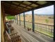 1754 BOGGY CREEK ROAD, Millingandi NSW 2549