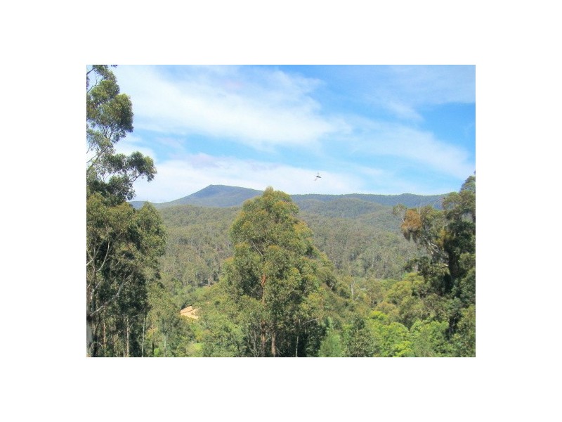 1670 TOWAMBA ROAD, Towamba NSW 2550