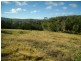 VARIOUS BOGGY CREEK ROAD, Millingandi NSW 2549