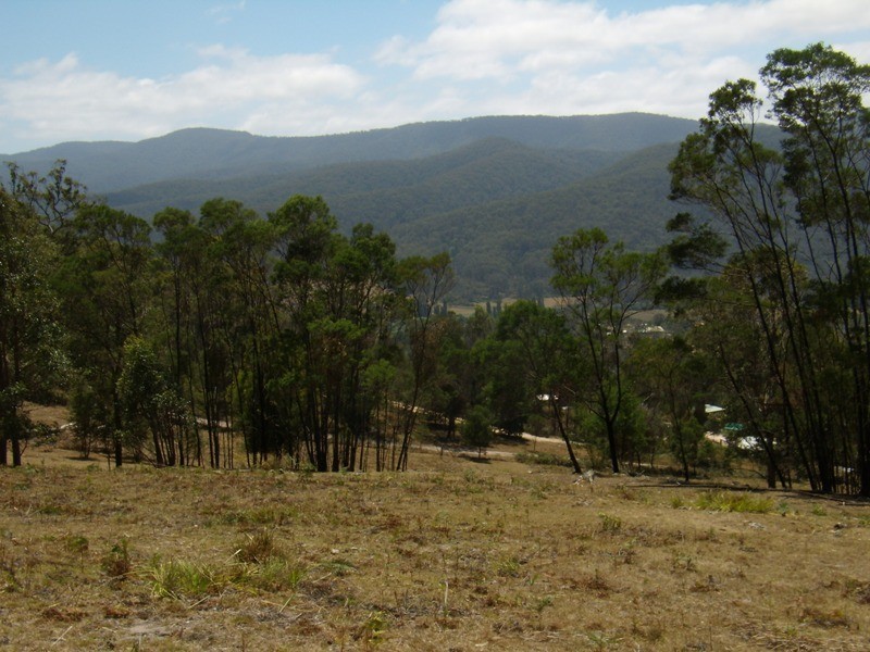 135 MANNING STREET, Towamba NSW 2550