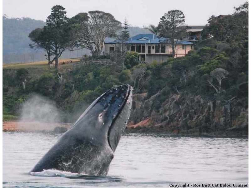 10 BY STREET, Eden NSW 2551