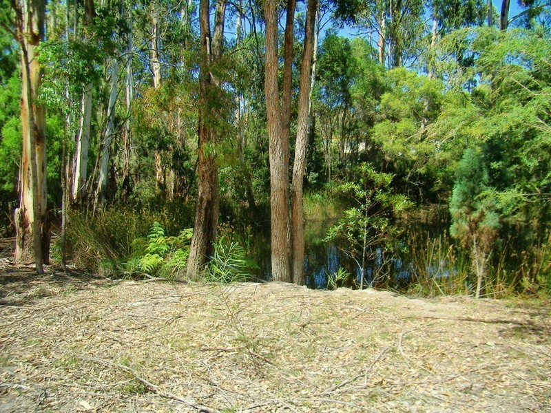 25 WONBOYN ROAD, Wonboyn NSW 2551