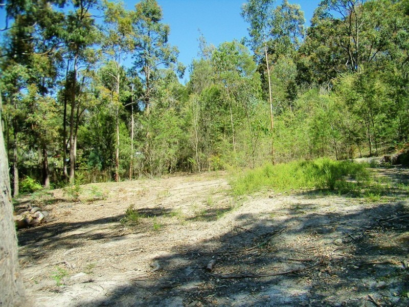 25 WONBOYN ROAD, Wonboyn NSW 2551