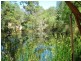 25 WONBOYN ROAD, Wonboyn NSW 2551