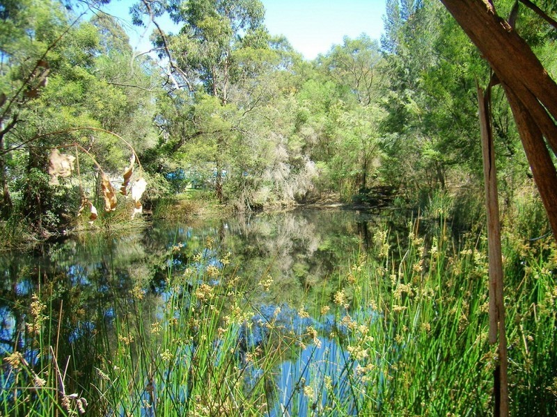 25 WONBOYN ROAD, Wonboyn NSW 2551