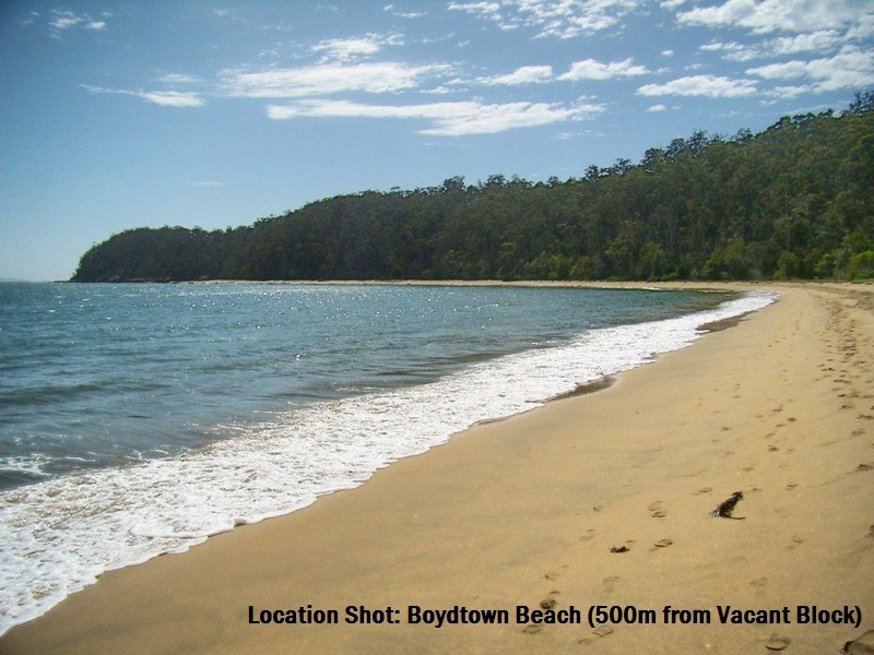 9 THE WANDERER, Boydtown NSW 2551