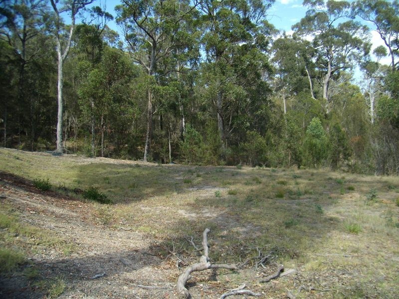 9 THE WANDERER, Boydtown NSW 2551