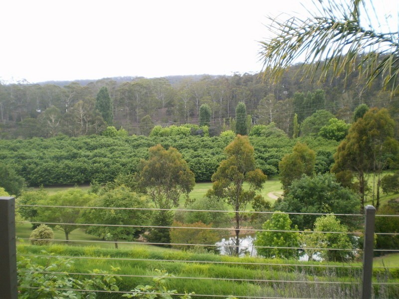 16 EURACK COURT, Kiah NSW 2551