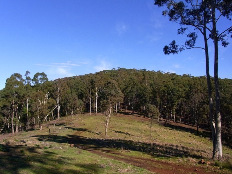 VARIOUS FLORABUNDA LANE, Nethercote NSW 2549