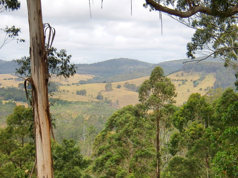 VARIOUS FLORABUNDA LANE, Nethercote NSW 2549