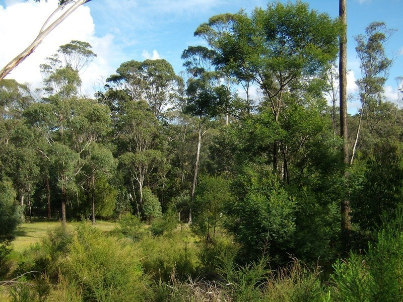 LOT 6  TOALLO STREET, Pambula NSW 2549