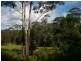 LOT 6  TOALLO STREET, Pambula NSW 2549