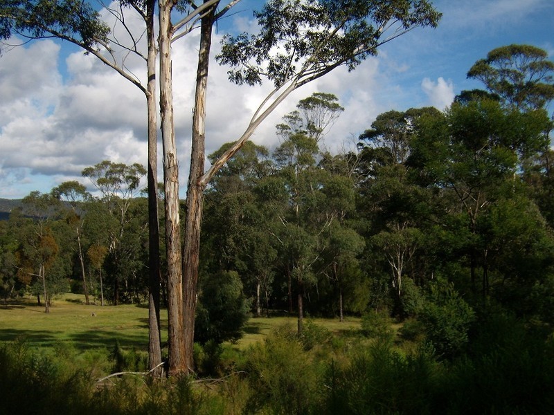 LOT 6  TOALLO STREET, Pambula NSW 2549