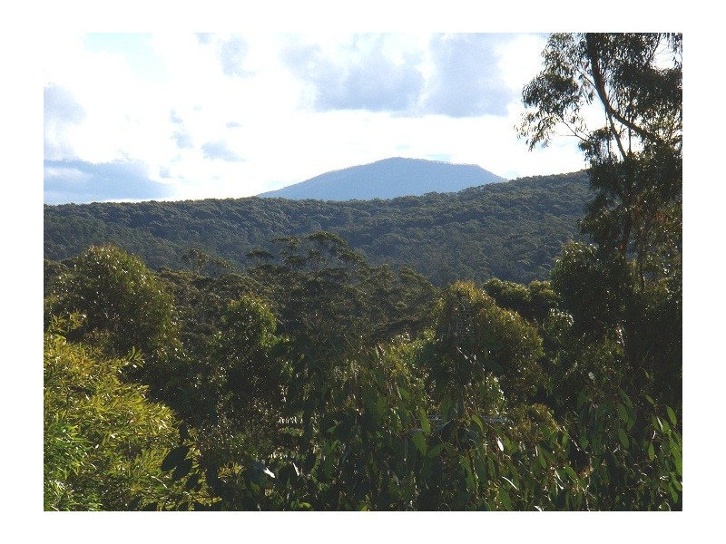 26 ADELAIDE AVENUE, Wonboyn NSW 2551