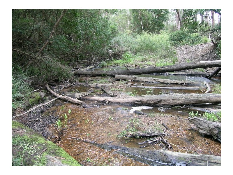 OFF HUT ROAD, Wonboyn NSW 2551