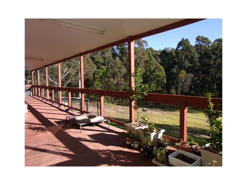 164 Back Creek Rd, Nethercote NSW 2549