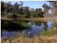 164 Back Creek Rd, Nethercote NSW 2549