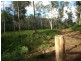 LOT 126 BIG JACK MOUNTAIN ROAD, Rocky Hall NSW 2550