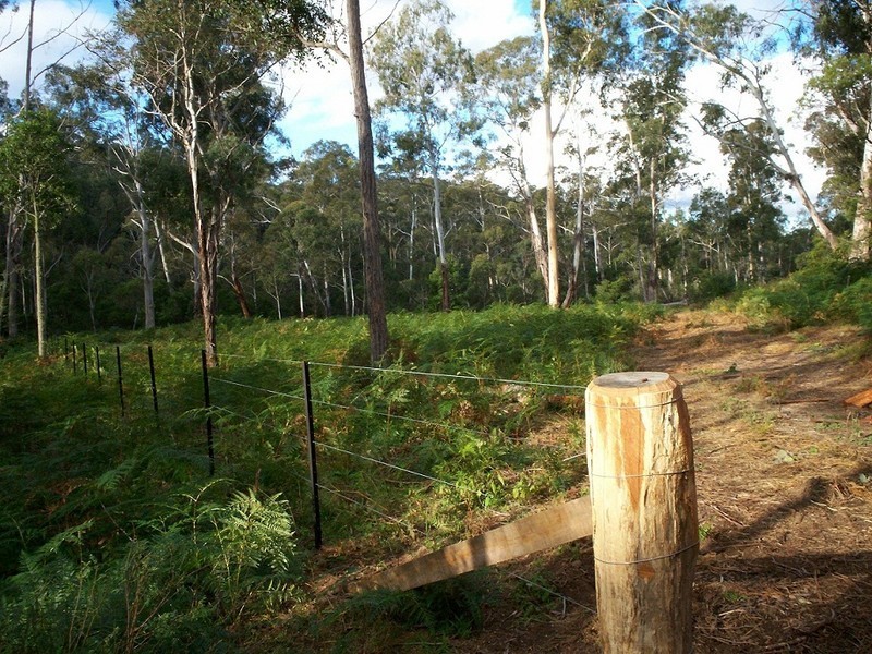LOT 126 BIG JACK MOUNTAIN ROAD, Rocky Hall NSW 2550