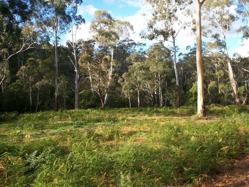 LOT 126 BIG JACK MOUNTAIN ROAD, Rocky Hall NSW 2550