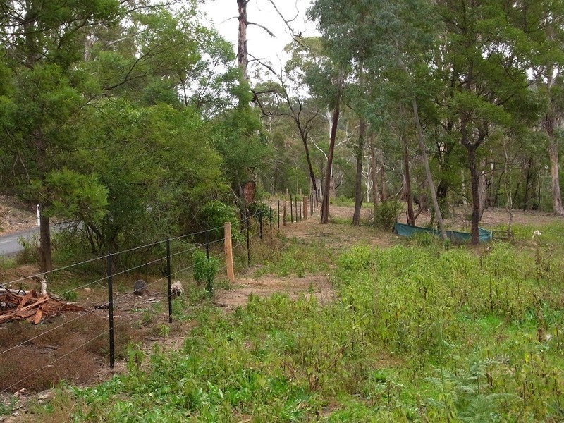 LOT 126 BIG JACK MOUNTAIN ROAD, Rocky Hall NSW 2550