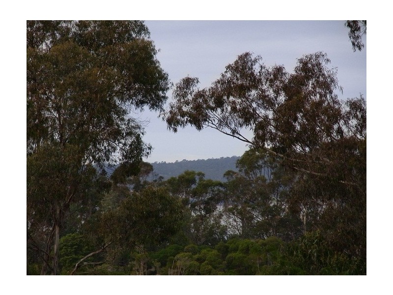 5 COSHAM CLOSE, Eden NSW 2551