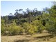 LOT 410 TRUMPETER AVENUE, Eden NSW 2551