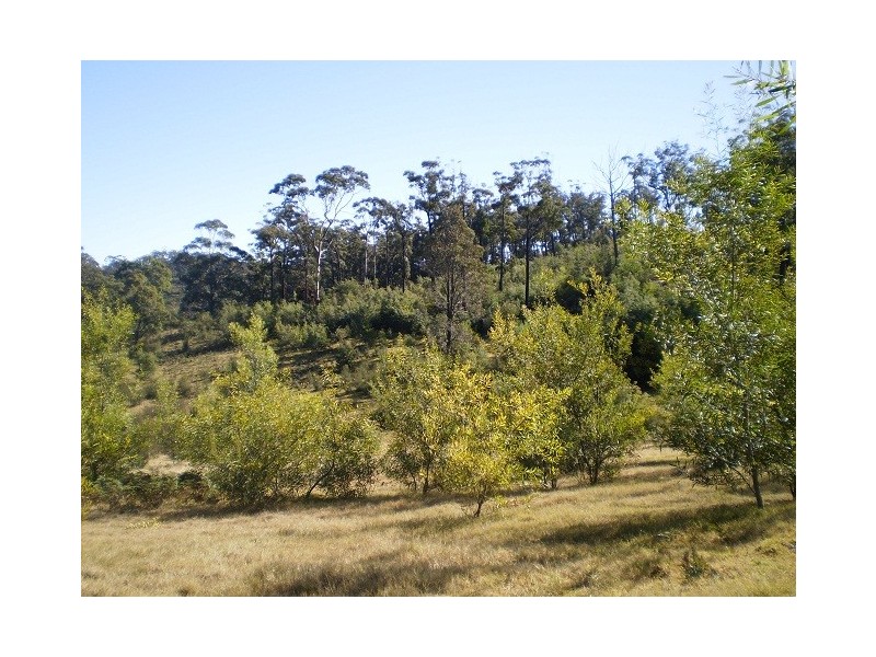 LOT 410 TRUMPETER AVENUE, Eden NSW 2551