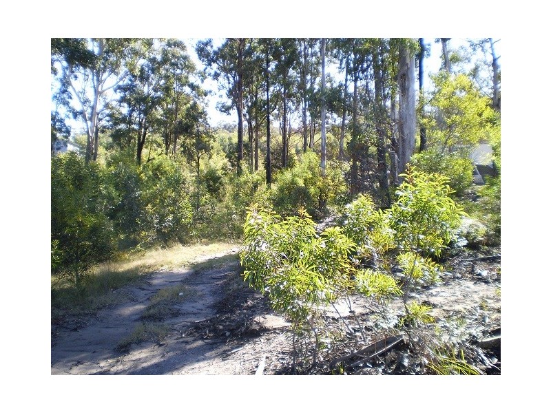 LOT 410 TRUMPETER AVENUE, Eden NSW 2551