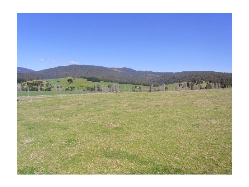 2114 TOWAMBA ROAD, Towamba NSW 2550