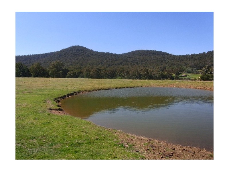 2114 TOWAMBA ROAD, Towamba NSW 2550