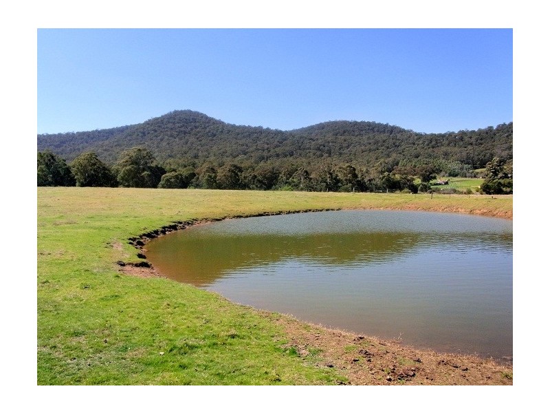 2114 TOWAMBA ROAD, Towamba NSW 2550