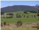 2114 TOWAMBA ROAD, Towamba NSW 2550