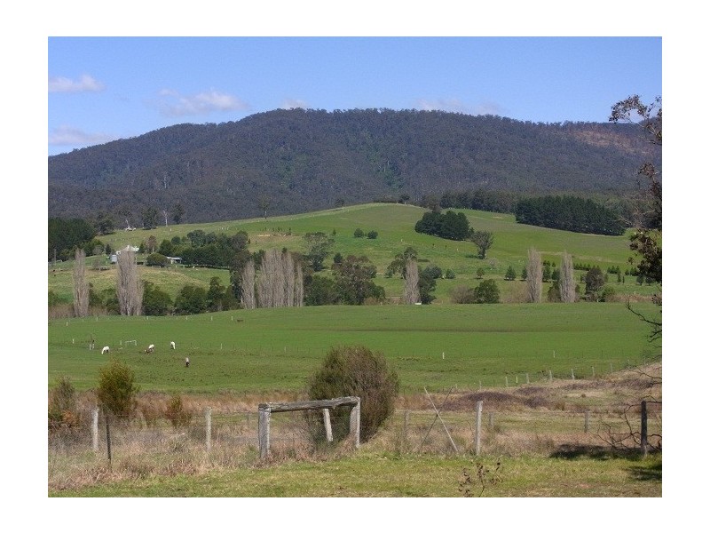 2114 TOWAMBA ROAD, Towamba NSW 2550