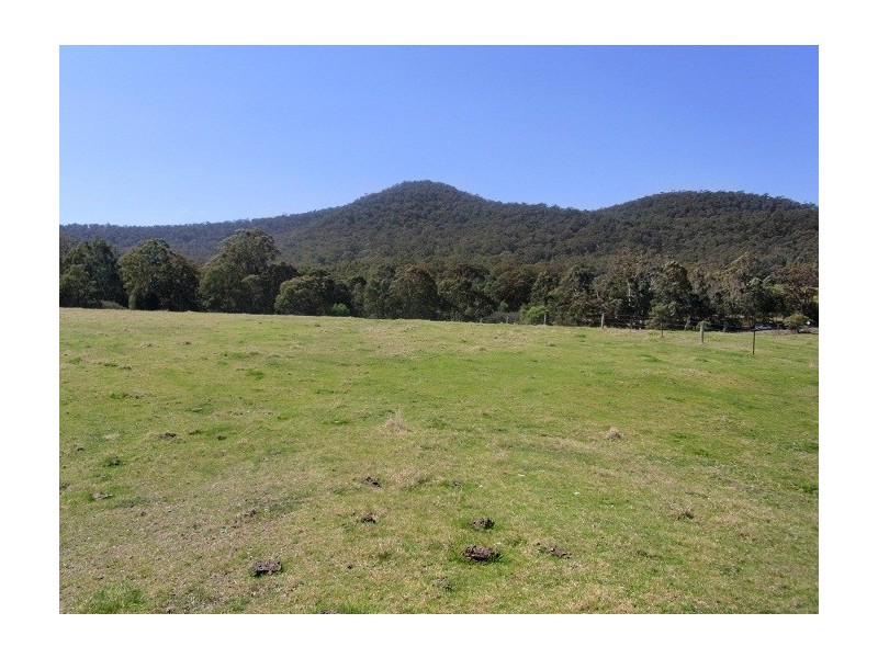 2114 TOWAMBA ROAD, Towamba NSW 2550