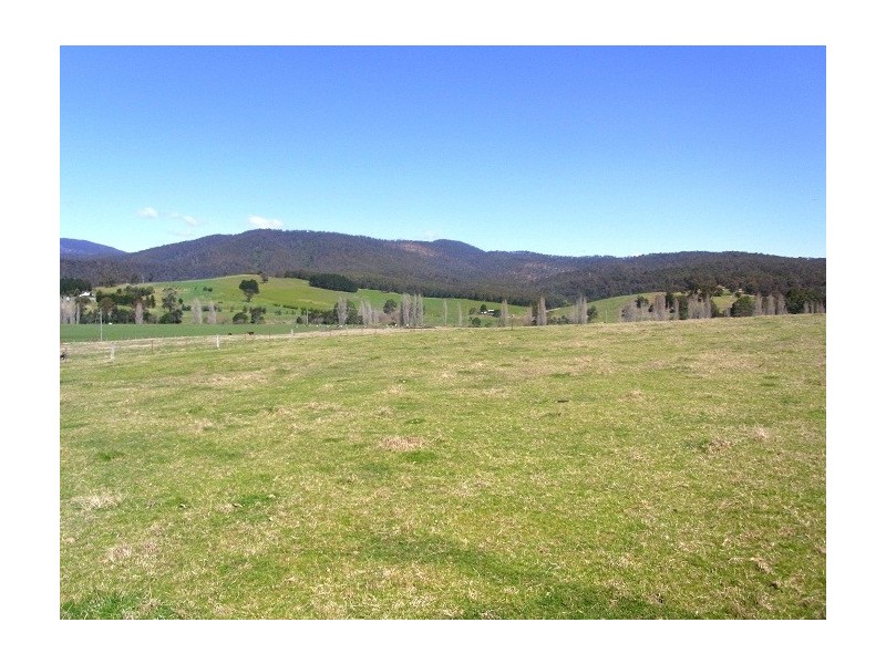 2114 TOWAMBA ROAD, Towamba NSW 2550