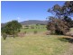 2114 TOWAMBA ROAD, Towamba NSW 2550